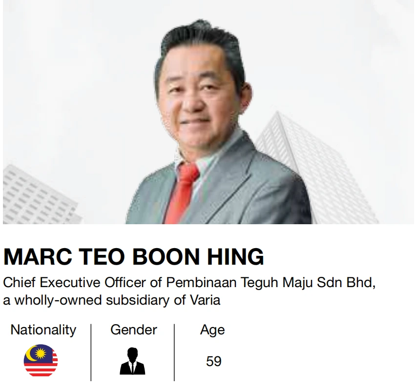varia berhad teo boon hing